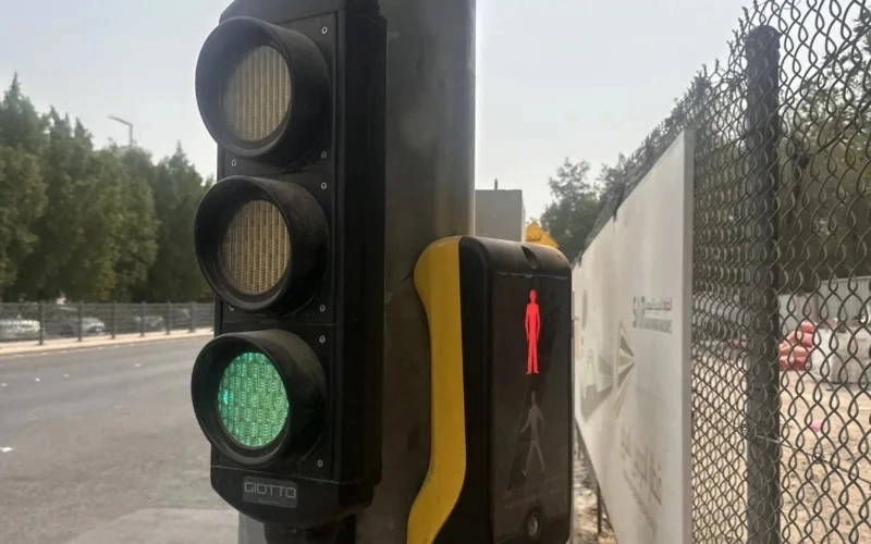 WhatsApp Image 2025-08-13 at 11.18.05.jpeg